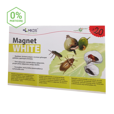 MINI Magnet white (20X12 cm) – obuolinių ir slyvinių pjūklelių, paprastųjų avietinukų gaudyklės, 20 vnt